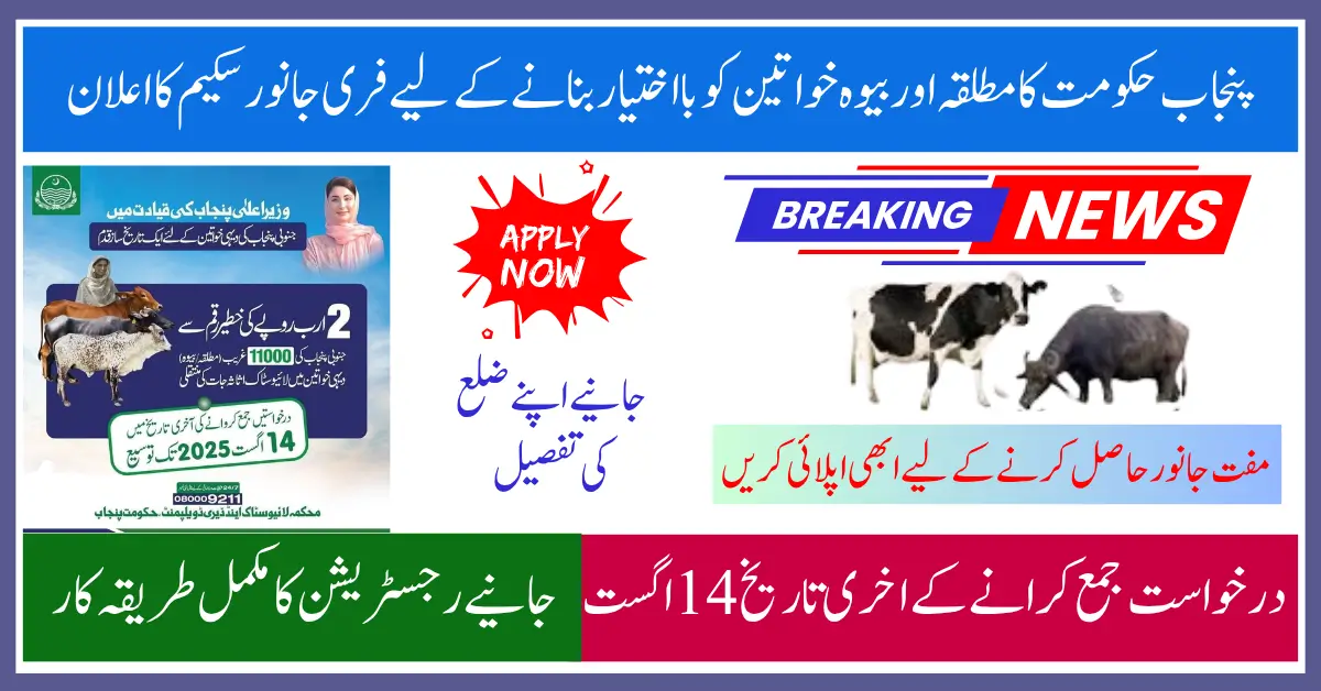 Rs2bn Free Livestock Scheme Launched for 2,000 Rural Women in Punjab